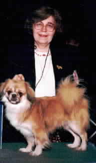 We finished three Tibetan Spaniel Champions in 1999!Click HERE for more about 'TY-GUY'