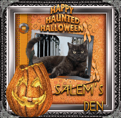 Thank you, Salem, for your loyal support and friendship! VOTE for 'SALEM'S DEN' HERE!